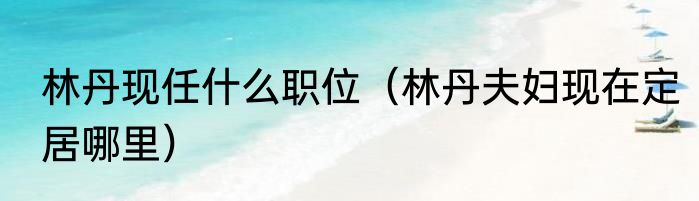 林丹现任什么职位（林丹夫妇现在定居哪里）