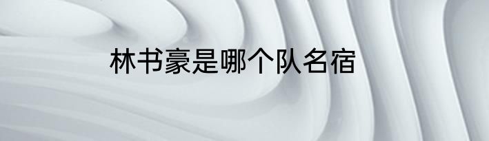 林书豪是哪个队名宿