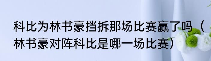科比为林书豪挡拆那场比赛赢了吗（林书豪对阵科比是哪一场比赛）