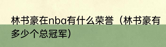 林书豪在nba有什么荣誉（林书豪有多少个总冠军）