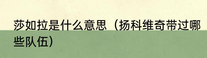 莎如拉是什么意思（扬科维奇带过哪些队伍）
