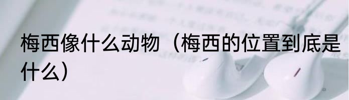 梅西像什么动物（梅西的位置到底是什么）