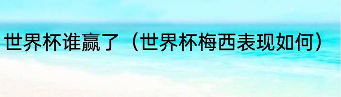 世界杯谁赢了（世界杯梅西表现如何）