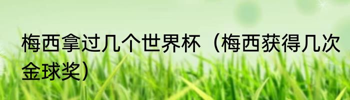 梅西拿过几个世界杯（梅西获得几次金球奖）