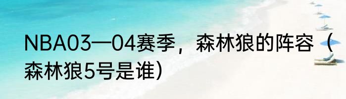 NBA03—04赛季，森林狼的阵容（森林狼5号是谁）