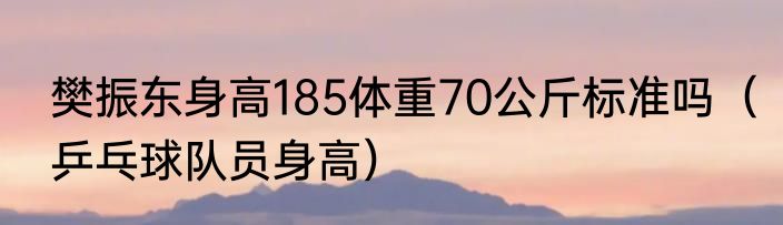 樊振东身高185体重70公斤标准吗（乒乓球队员身高）