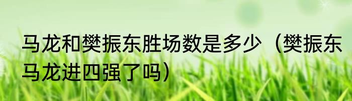 马龙和樊振东胜场数是多少（樊振东马龙进四强了吗）