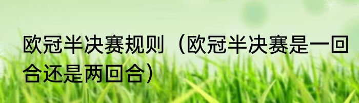 欧冠半决赛规则（欧冠半决赛是一回合还是两回合）