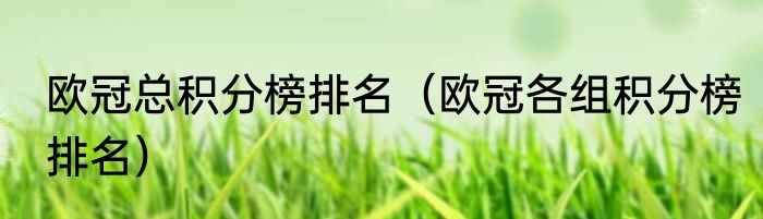 欧冠总积分榜排名（欧冠各组积分榜排名）