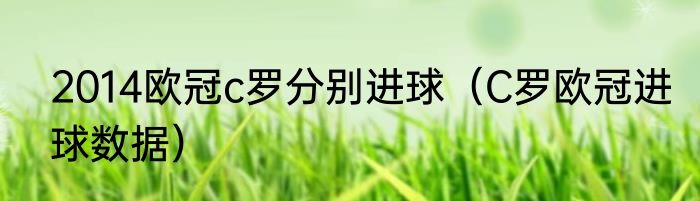 2014欧冠c罗分别进球（C罗欧冠进球数据）