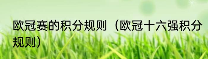 欧冠赛的积分规则（欧冠十六强积分规则）
