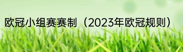 欧冠小组赛赛制（2023年欧冠规则）