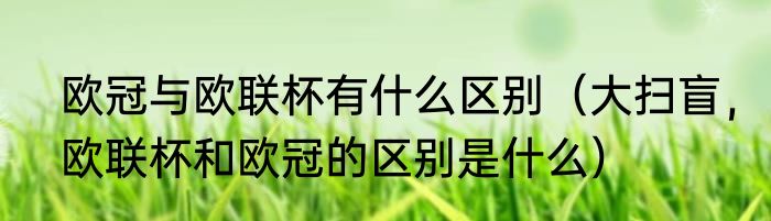 欧冠与欧联杯有什么区别（大扫盲，欧联杯和欧冠的区别是什么）