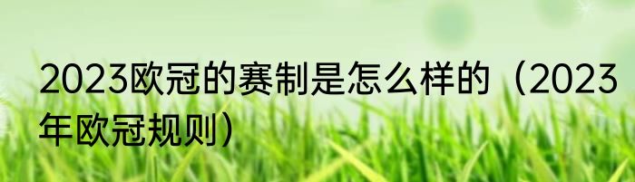 2023欧冠的赛制是怎么样的（2023年欧冠规则）