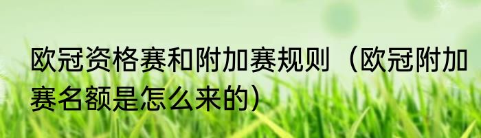 欧冠资格赛和附加赛规则（欧冠附加赛名额是怎么来的）