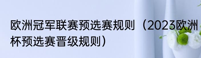 欧洲冠军联赛预选赛规则（2023欧洲杯预选赛晋级规则）