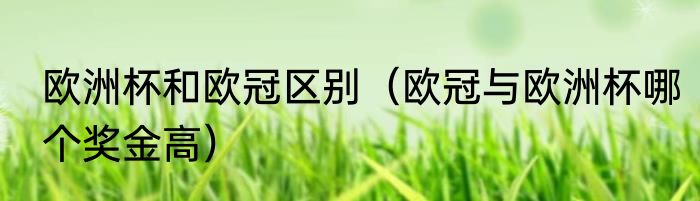 欧洲杯和欧冠区别（欧冠与欧洲杯哪个奖金高）