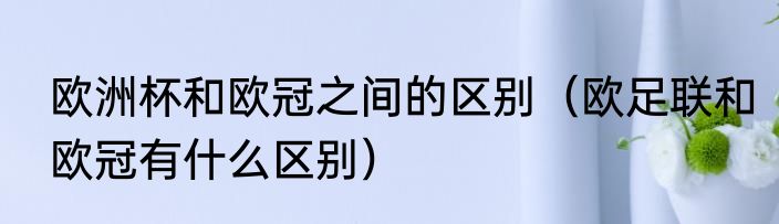 欧洲杯和欧冠之间的区别（欧足联和欧冠有什么区别）