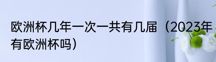 欧洲杯几年一次一共有几届（2023年有欧洲杯吗）