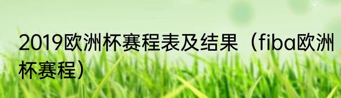2019欧洲杯赛程表及结果（fiba欧洲杯赛程）