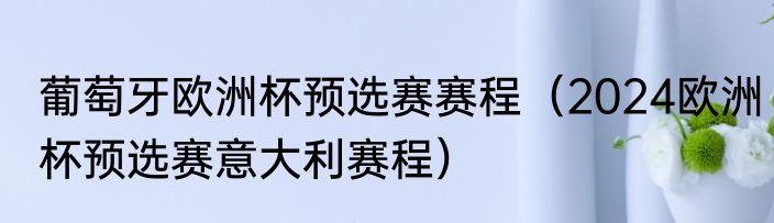 葡萄牙欧洲杯预选赛赛程（2024欧洲杯预选赛意大利赛程）