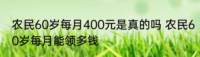 农民60岁每月400元是真的吗 农民60岁每月能领多钱