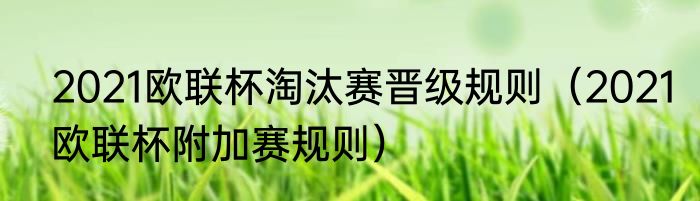 2021欧联杯淘汰赛晋级规则（2021欧联杯附加赛规则）