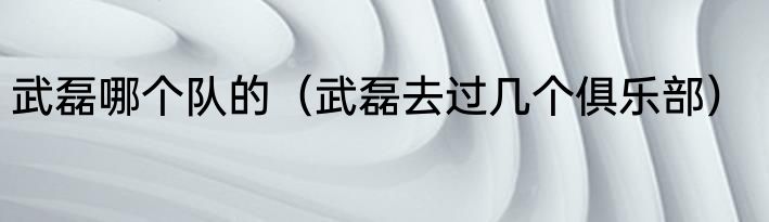 武磊哪个队的（武磊去过几个俱乐部）