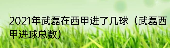 2021年武磊在西甲进了几球（武磊西甲进球总数）