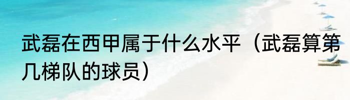 武磊在西甲属于什么水平（武磊算第几梯队的球员）