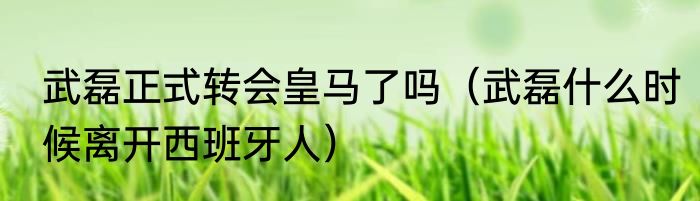 武磊正式转会皇马了吗（武磊什么时候离开西班牙人）