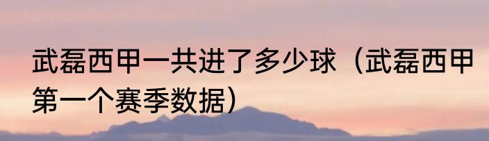 武磊西甲一共进了多少球（武磊西甲第一个赛季数据）