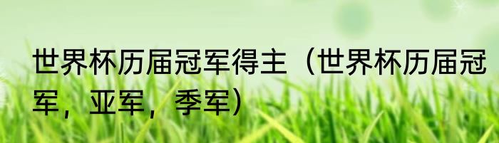 世界杯历届冠军得主（世界杯历届冠军，亚军，季军）