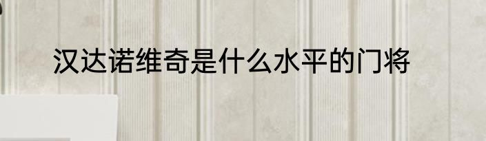 汉达诺维奇是什么水平的门将