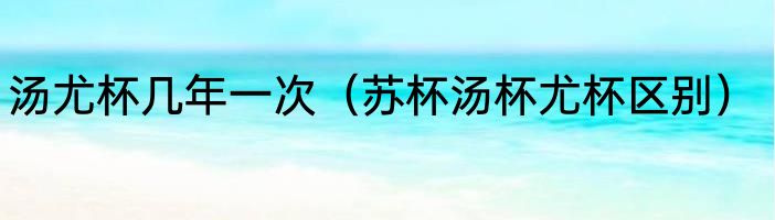 汤尤杯几年一次（苏杯汤杯尤杯区别）