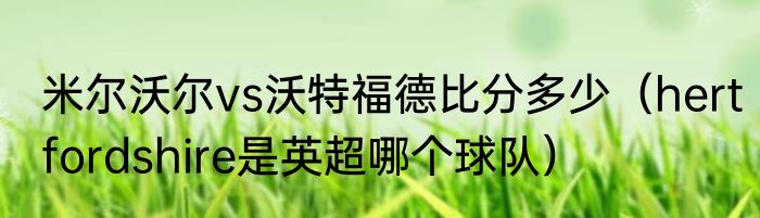 米尔沃尔vs沃特福德比分多少（hertfordshire是英超哪个球队）