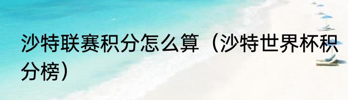 沙特联赛积分怎么算（沙特世界杯积分榜）