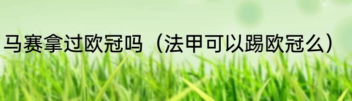 马赛拿过欧冠吗（法甲可以踢欧冠么）