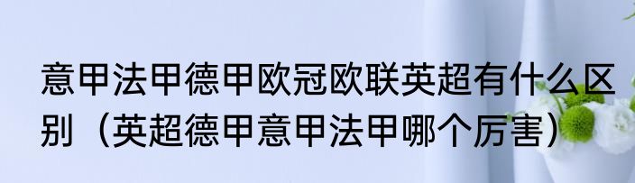 意甲法甲德甲欧冠欧联英超有什么区别（英超德甲意甲法甲哪个厉害）