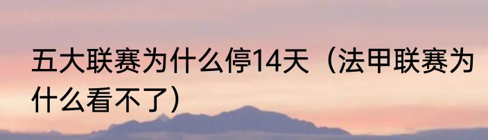五大联赛为什么停14天（法甲联赛为什么看不了）
