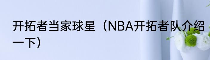开拓者当家球星（NBA开拓者队介绍一下）