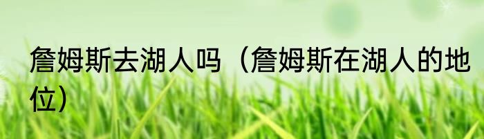 詹姆斯去湖人吗（詹姆斯在湖人的地位）