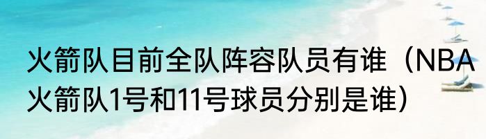 火箭队目前全队阵容队员有谁（NBA火箭队1号和11号球员分别是谁）