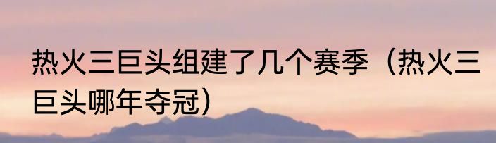 热火三巨头组建了几个赛季（热火三巨头哪年夺冠）