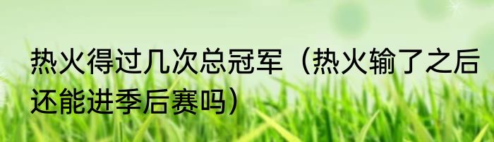 热火得过几次总冠军（热火输了之后还能进季后赛吗）