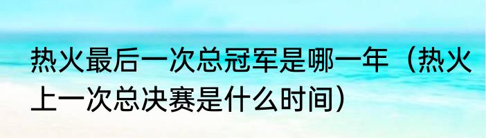 热火最后一次总冠军是哪一年（热火上一次总决赛是什么时间）