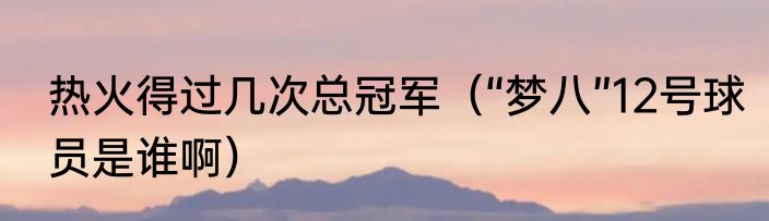 热火得过几次总冠军（“梦八”12号球员是谁啊）