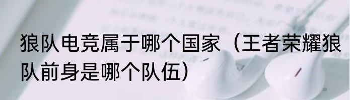 狼队电竞属于哪个国家（王者荣耀狼队前身是哪个队伍）