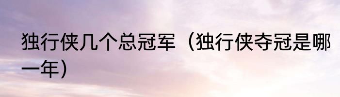 独行侠几个总冠军（独行侠夺冠是哪一年）