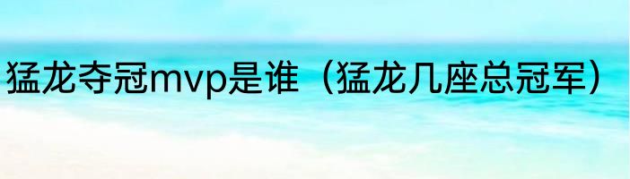 猛龙夺冠mvp是谁（猛龙几座总冠军）